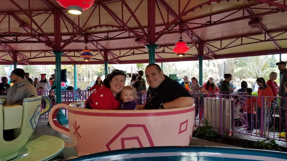 gallery/51472362_369552463841959_3213515709350936576_n